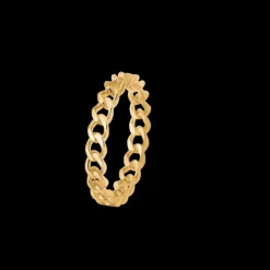 POETRY PANZER RING